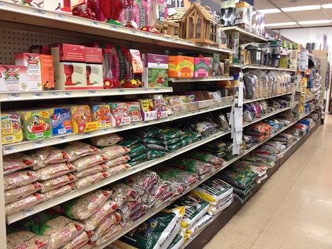 Bird Food