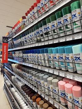 Paint