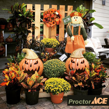 Ready For Fall