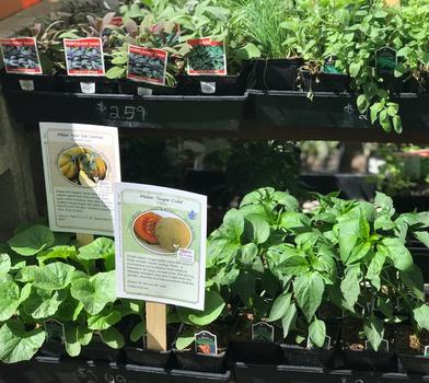 Plant Goods