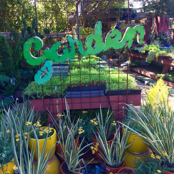 Lawn and Garden