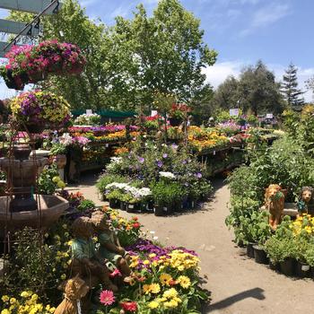 Nursery