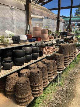 Planters & Pottery