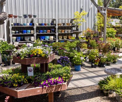 Garden & nursery