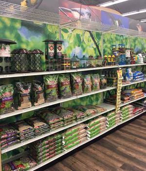 Bird Seed