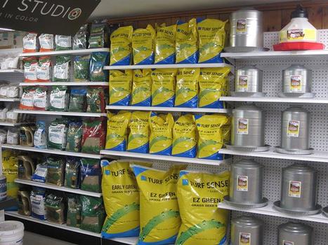 Grass Seed