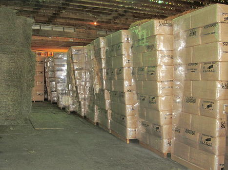 Robbins Shavings & Round Bales of Hay