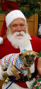Santa