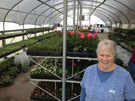 Seasonal Nursery
