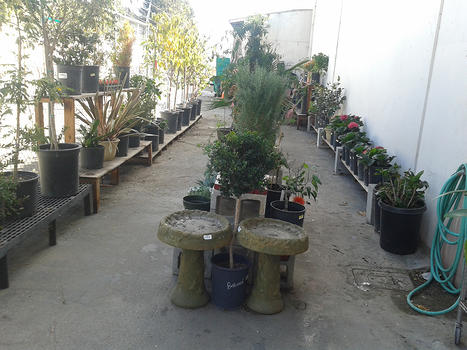 Garden Center