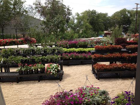 Garden Center