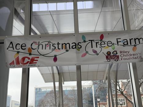 Tree Farm 2025