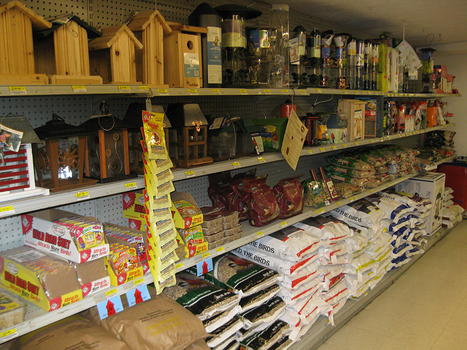 our store