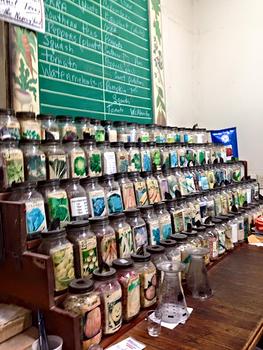 Seed Room