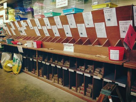 Seed Room