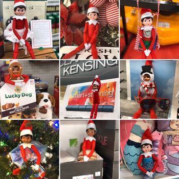 ElfDay2