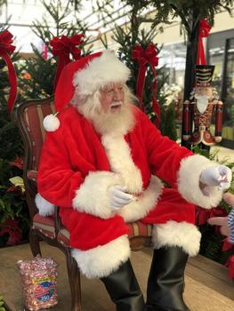 ElfDay6