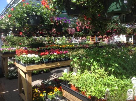 Garden Center