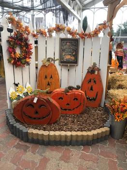 Fall at LGP Ace