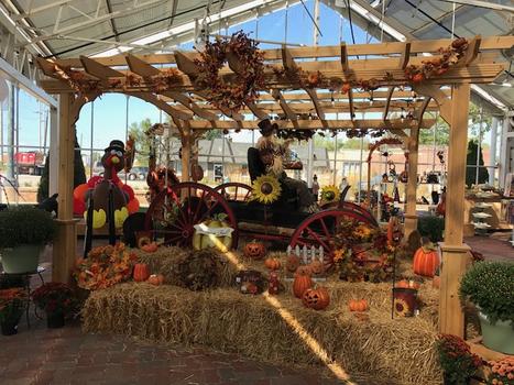 Fall at LGP Ace