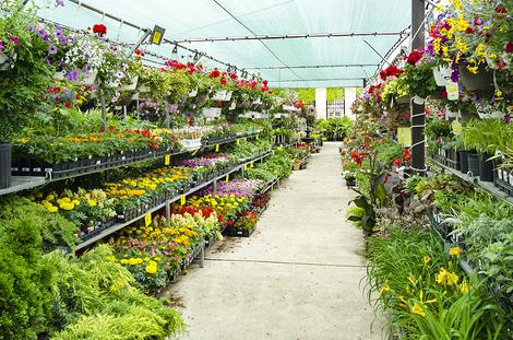 Garden Center 1