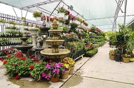 Garden Center 2