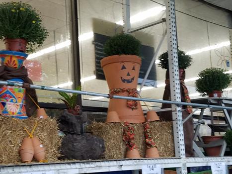 pot people