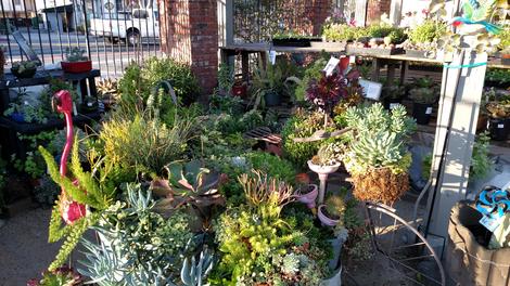 Garden1