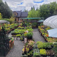 GARDEN CENTER WOODSTOCK