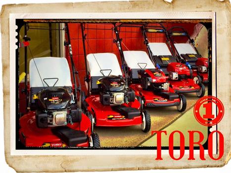 TORO