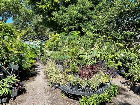 Outside Garden