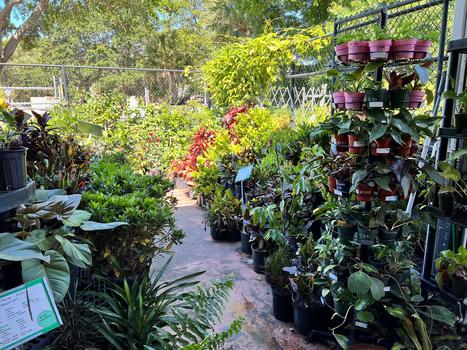Outside Garden