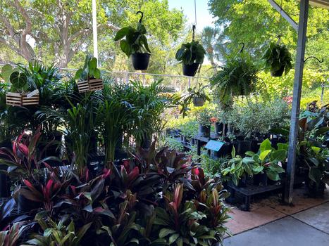 Outside Garden