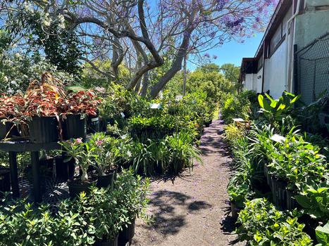 Outside Garden