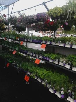 Baskets