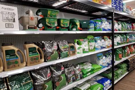 Grass Seed