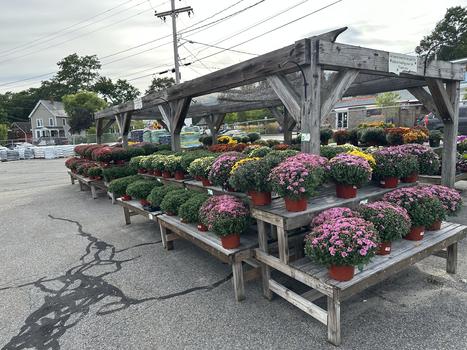 The Yard
