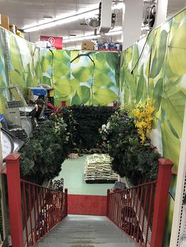 Lower Level Stairs