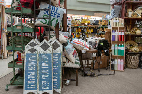 Decorative Pillows & Ski Theme Decor