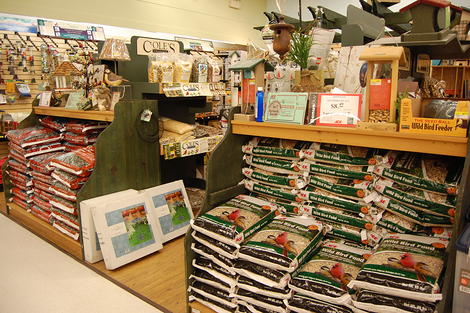 Bird Food