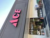 Store Front SPRING HILL ACE