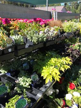 Garden Center