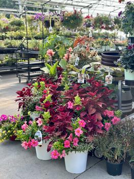 GARDEN CENTER