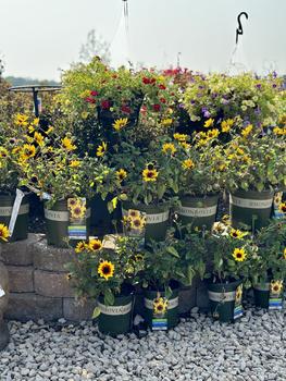 GARDEN CENTER