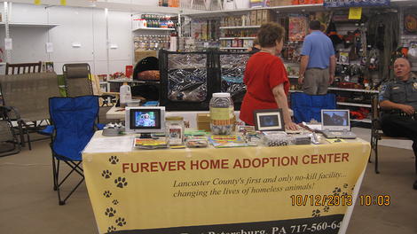 FOREVER HOMES ADOPTIONS