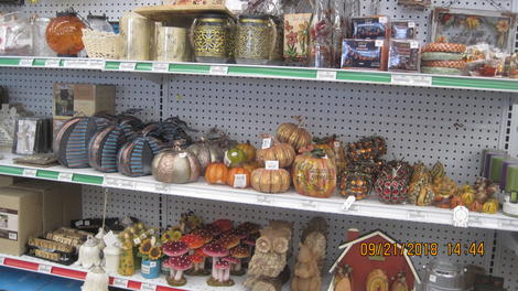 Harvest to Thaksgiving