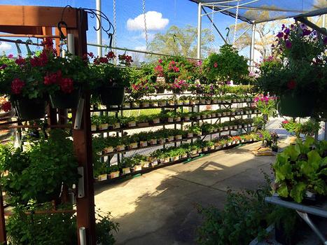 Garden Center