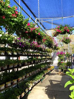 Garden Center