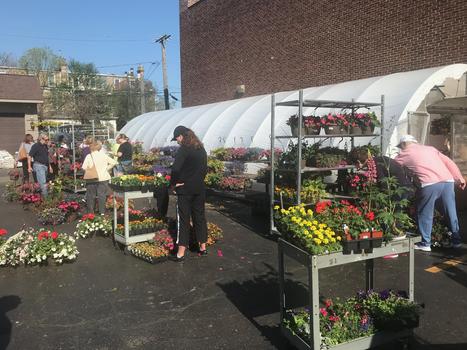 Greenhouse 2018