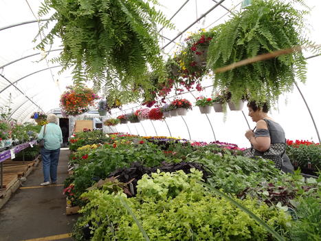 Greenhouse 2018